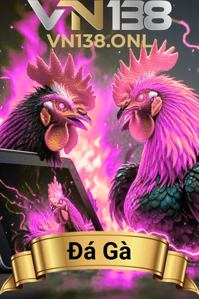 đá gà vn138