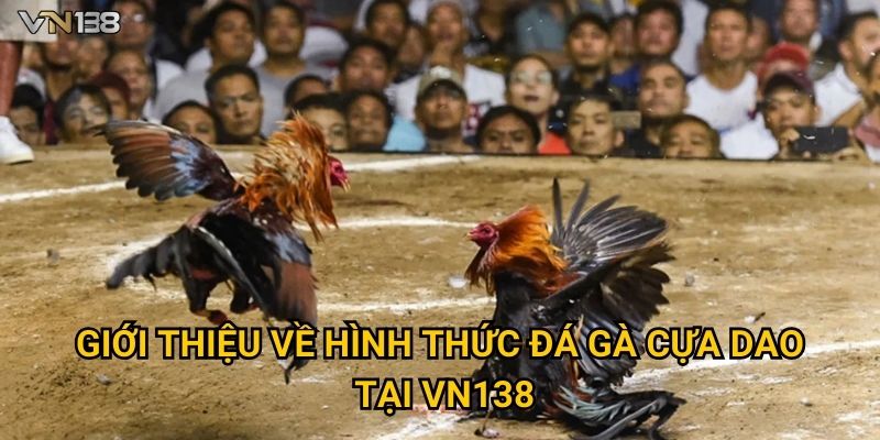 Giới thiệu về hình thức đá gà cựa dao tại Vn138