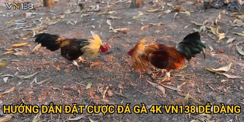 Hướng dẫn đặt cược Đá Gà 4K Vn138 dễ dàng